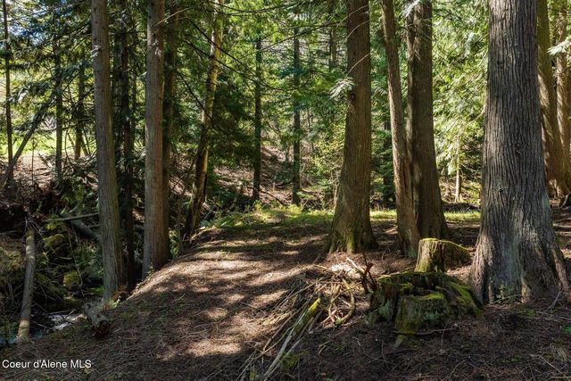 NNA Garfield Bay Rd, Sagle, ID 83860