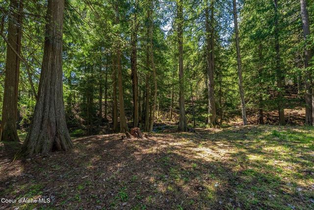NNA Garfield Bay Rd, Sagle, ID 83860