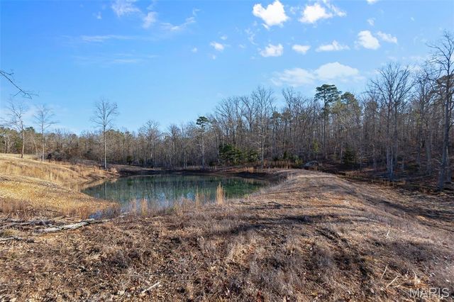 29118 BCR 862, Marquand, MO 63655