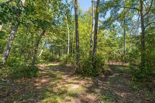 Tract B TBD Little Pine Road, Sylvan Twp, MN 56401