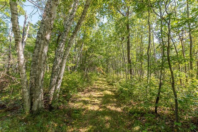 Tract B TBD Little Pine Road, Sylvan Twp, MN 56401