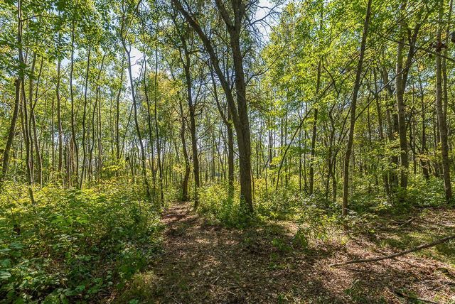 Tract B TBD Little Pine Road, Sylvan Twp, MN 56401