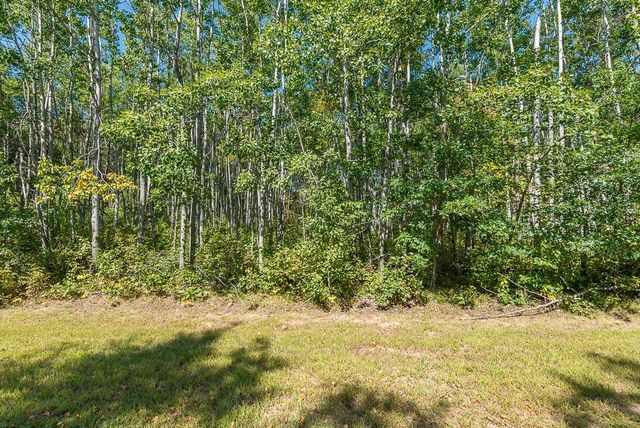 Tract B TBD Little Pine Road, Sylvan Twp, MN 56401
