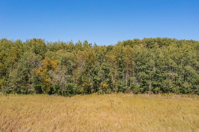Tract B TBD Little Pine Road, Sylvan Twp, MN 56401