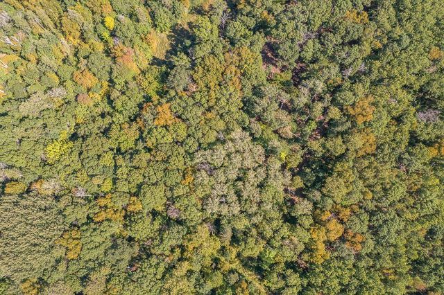 Tract B TBD Little Pine Road, Sylvan Twp, MN 56401