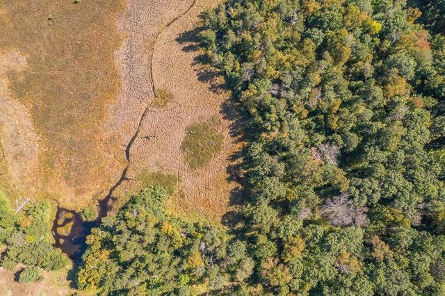 Tract B TBD Little Pine Road, Sylvan Twp, MN 56401