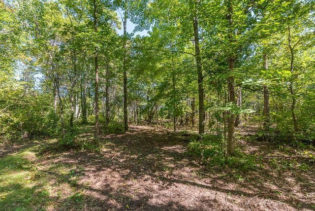 Tract B TBD Little Pine Road, Sylvan Twp, MN 56401