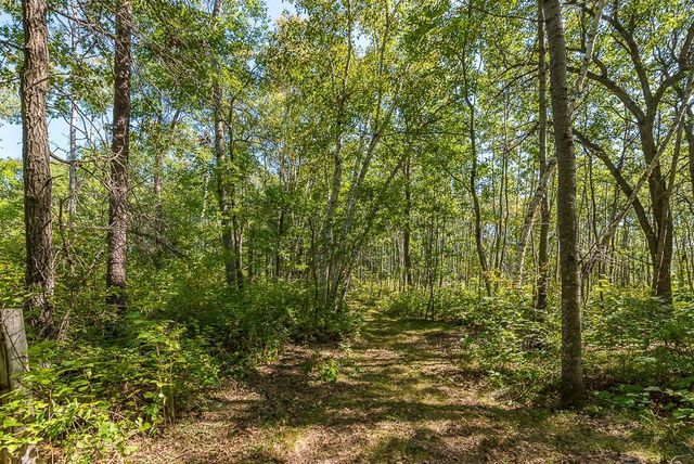 Tract B TBD Little Pine Road, Sylvan Twp, MN 56401