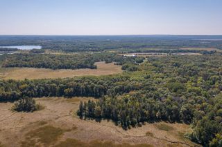 Tract B TBD Little Pine Road, Sylvan Twp, MN 56401