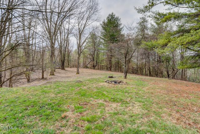 135 Earl Williams Road, Elizabethton, TN 37643