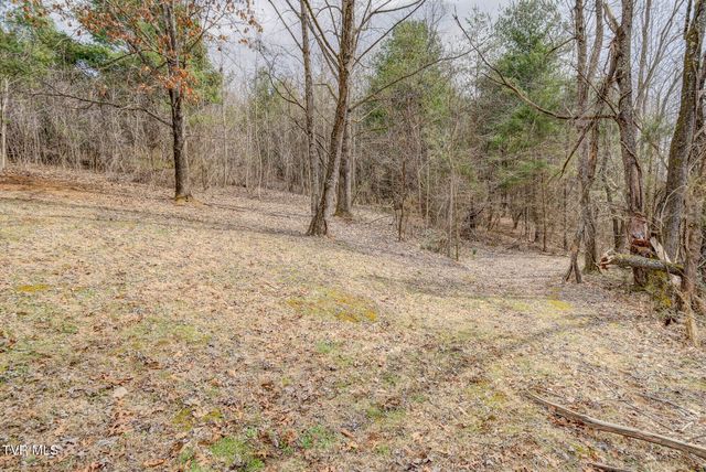 135 Earl Williams Road, Elizabethton, TN 37643