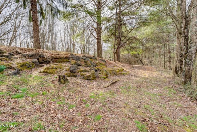 135 Earl Williams Road, Elizabethton, TN 37643