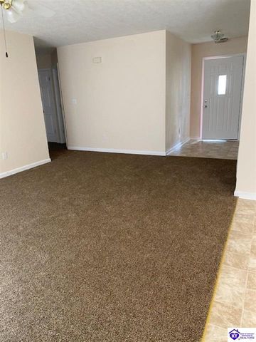 119 Red Hawk Drive, Vine Grove, KY 40175