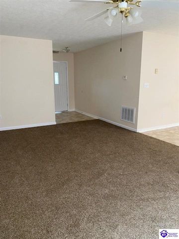 119 Red Hawk Drive, Vine Grove, KY 40175