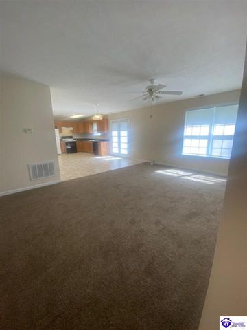 119 Red Hawk Drive, Vine Grove, KY 40175