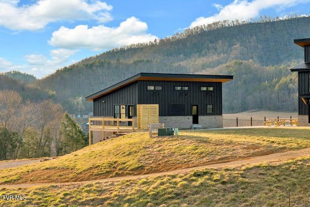 817 Neva View Lane, Mountain City, TN 37683