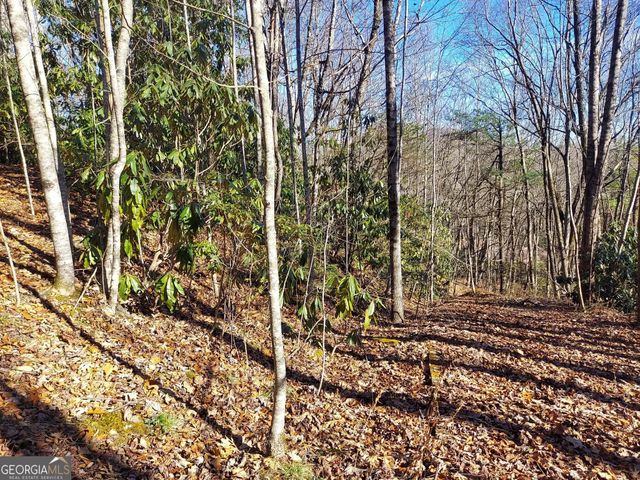 0 LOT 14 & 15 Honey Bear, Dillard, GA 30537