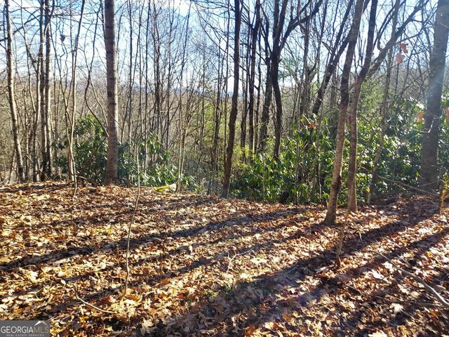 0 LOT 14 & 15 Honey Bear, Dillard, GA 30537