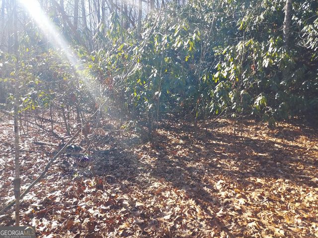 0 LOT 14 & 15 Honey Bear, Dillard, GA 30537
