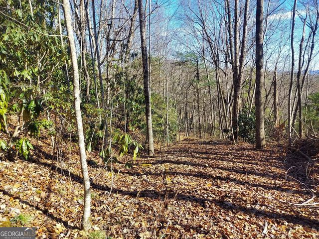 0 LOT 14 & 15 Honey Bear, Dillard, GA 30537
