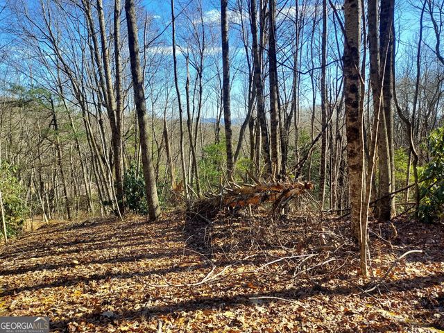 0 LOT 14 & 15 Honey Bear, Dillard, GA 30537