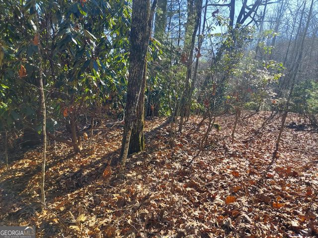 0 LOT 14 & 15 Honey Bear, Dillard, GA 30537