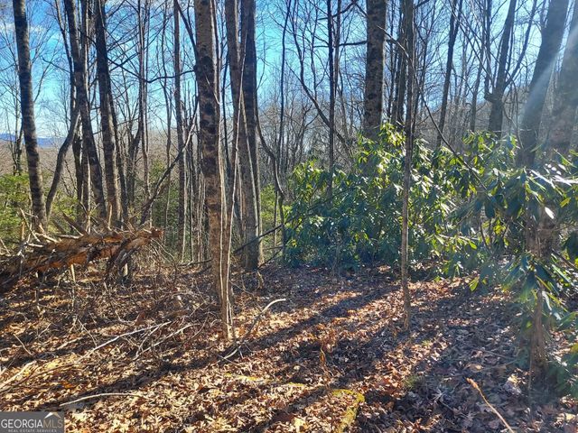 0 LOT 14 & 15 Honey Bear, Dillard, GA 30537