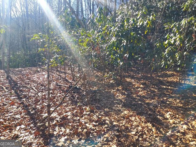 0 LOT 14 & 15 Honey Bear, Dillard, GA 30537