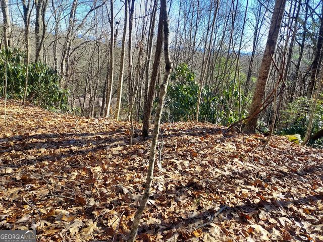 0 LOT 14 & 15 Honey Bear, Dillard, GA 30537