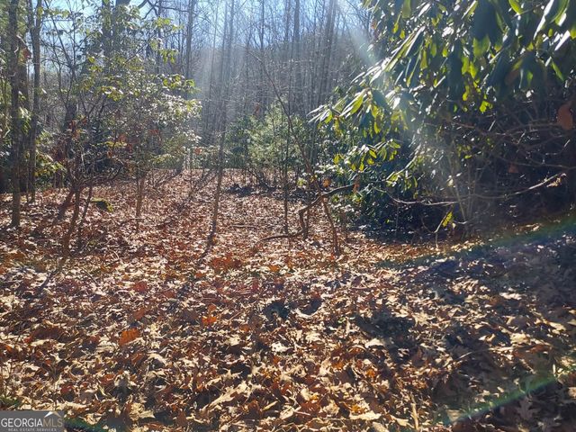 0 LOT 14 & 15 Honey Bear, Dillard, GA 30537