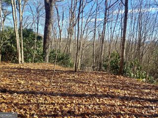 0 LOT 14 & 15 Honey Bear, Dillard, GA 30537