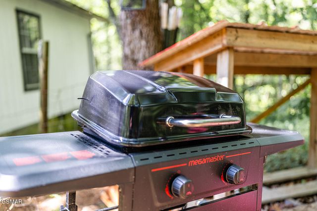 1901 Blackberry Way, Sevierville, TN 37876