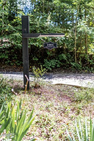 1901 Blackberry Way, Sevierville, TN 37876
