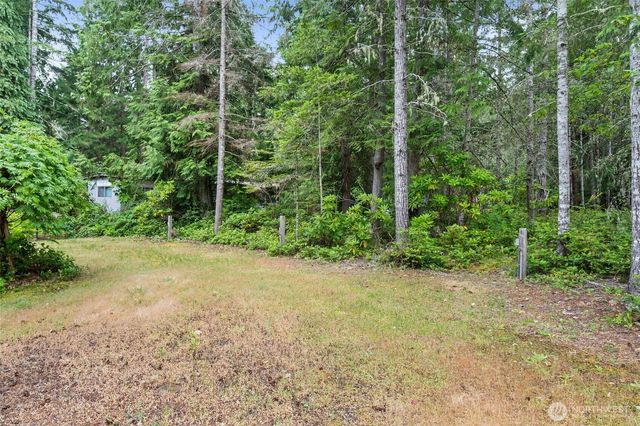 120 King Drive, Brinnon, WA 98320