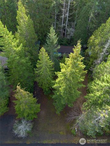 120 King Drive, Brinnon, WA 98320