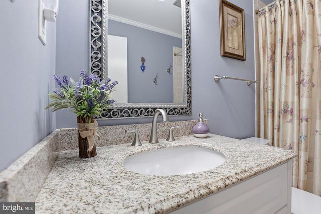 10106 NADINE DR, Vienna, VA 22181