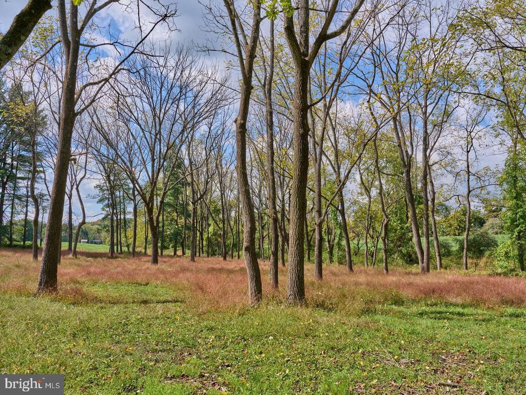 6321 SAW MILL RD, NEW HOPE, PA 18938 — exterior