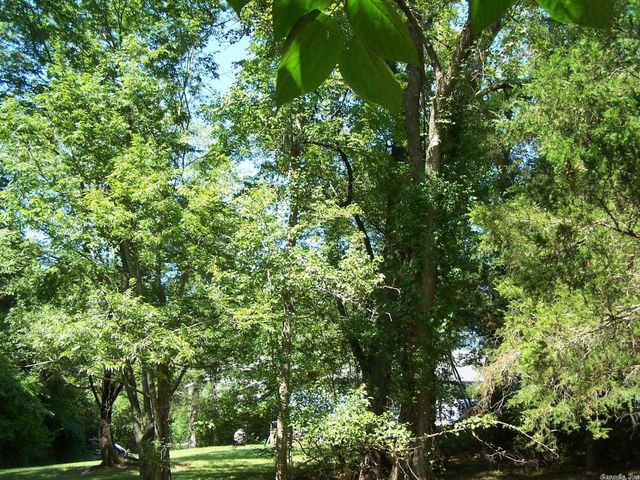 545 Ash Flat Dr, Ash Flat, AR 72542