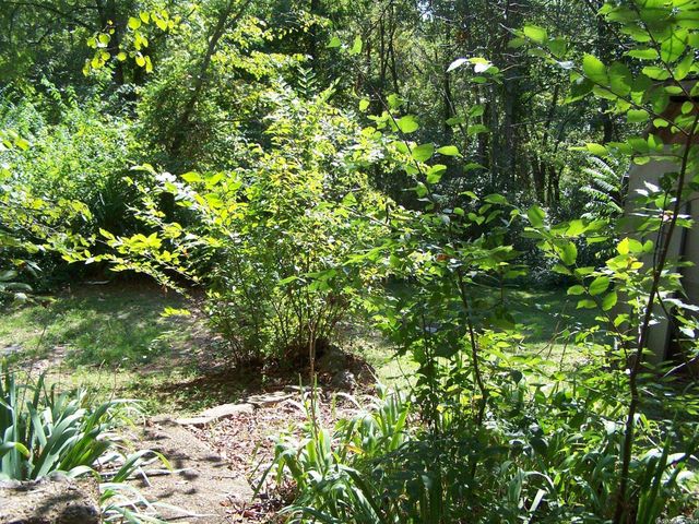 545 Ash Flat Dr, Ash Flat, AR 72542