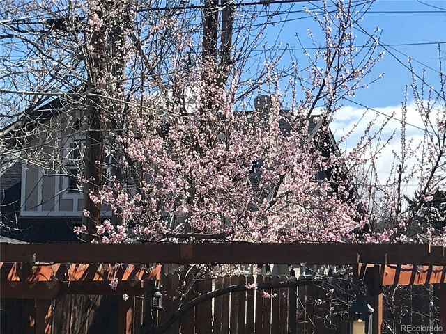 1058 Garfield St, Denver, CO 80206