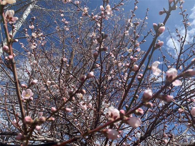 1058 Garfield St, Denver, CO 80206