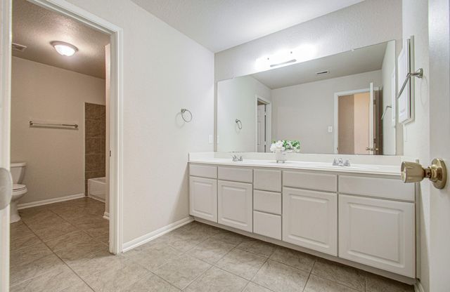 23714 Legacy Oak Street, Katy, TX 77493
