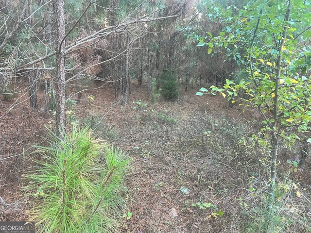0 Plantation Road, Mcdonough, GA 30252