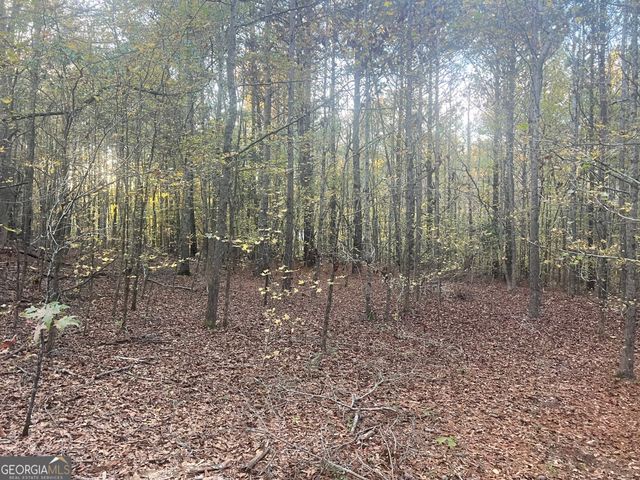0 Plantation Road, Mcdonough, GA 30252
