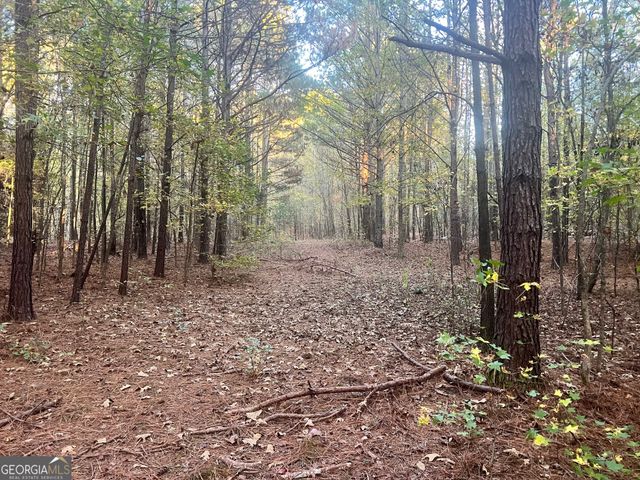 0 Plantation Road, Mcdonough, GA 30252