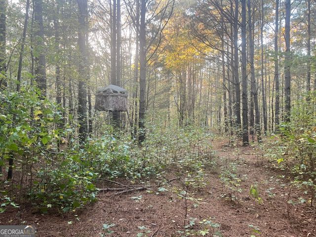 0 Plantation Road, Mcdonough, GA 30252