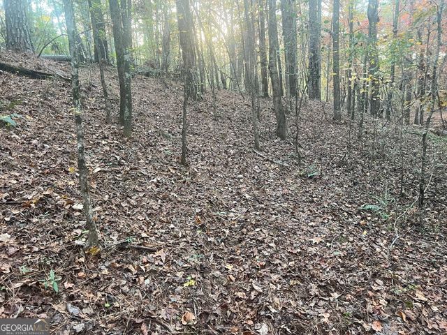 0 Plantation Road, Mcdonough, GA 30252