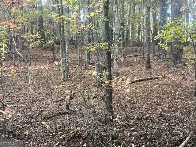 0 Plantation Road, Mcdonough, GA 30252