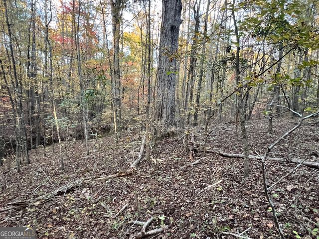 0 Plantation Road, Mcdonough, GA 30252