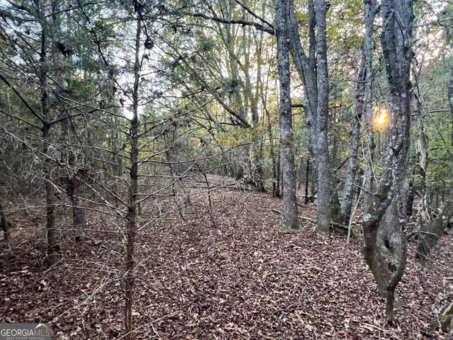 0 Plantation Road, Mcdonough, GA 30252